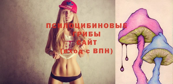 мдпв Балабаново